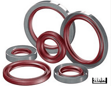 進(jìn)口tb外骨架鐵殼油封