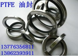 供應蘇州進口ptfe骨架油封 摩擦小 抗干磨價格 廠家 圖片